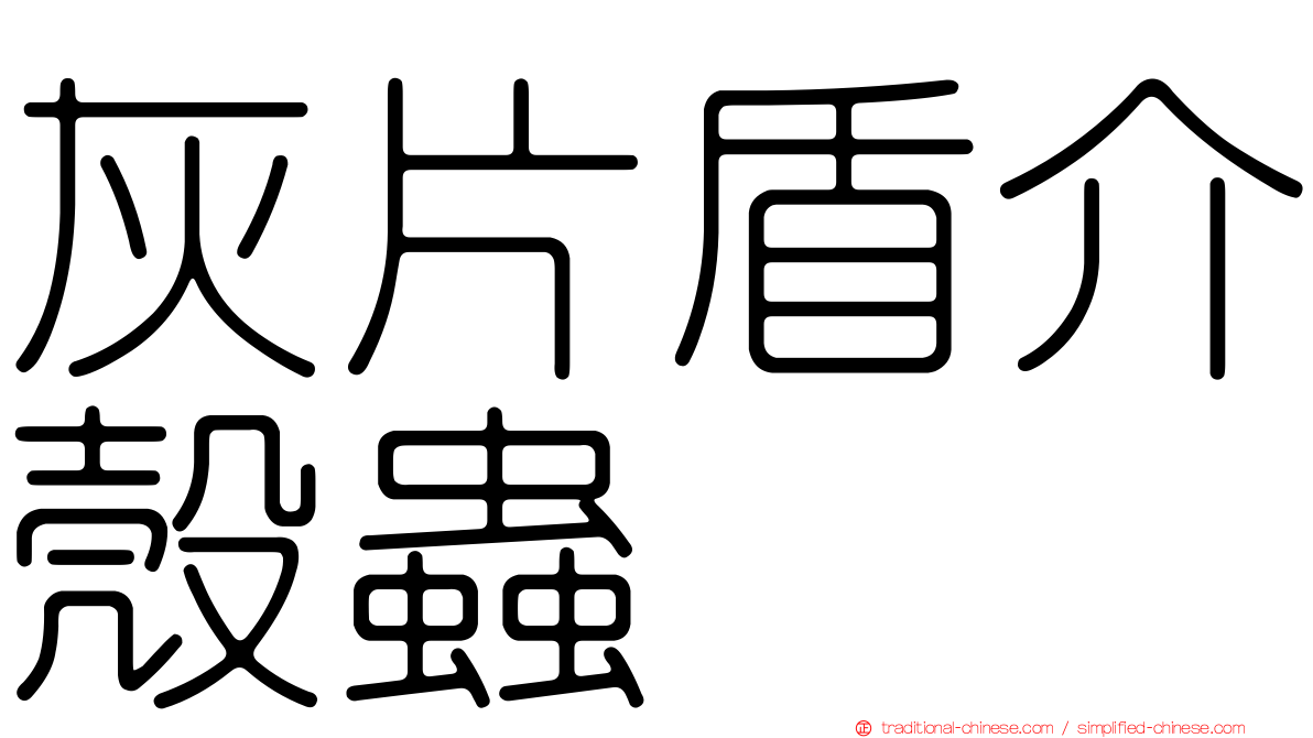 灰片盾介殼蟲