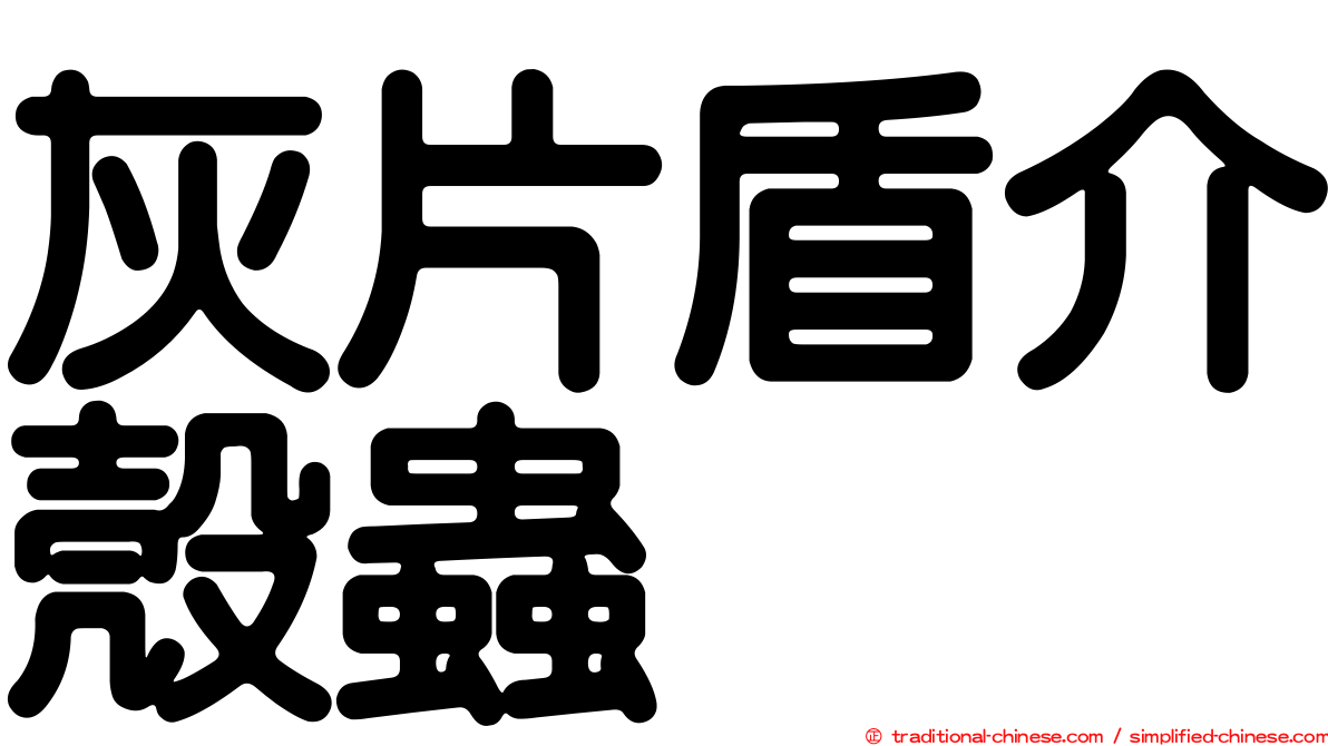 灰片盾介殼蟲