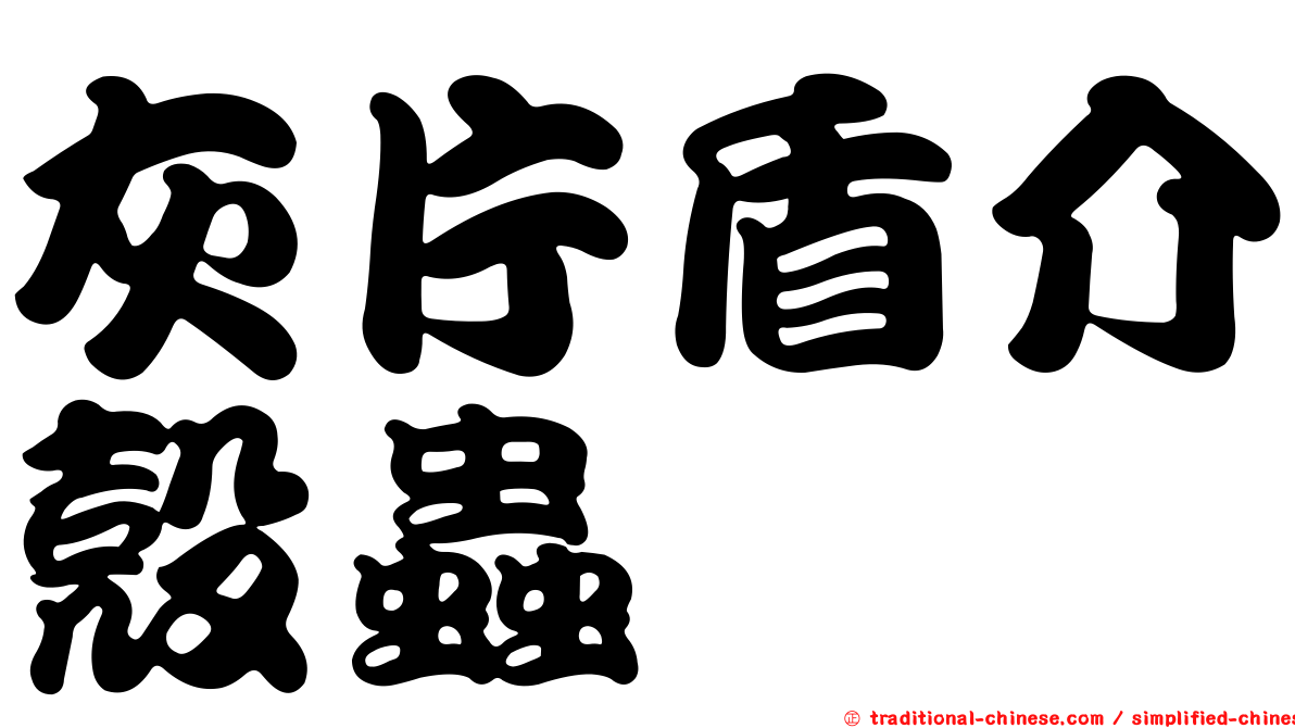 灰片盾介殼蟲