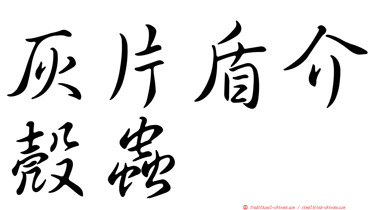 灰片盾介殼蟲
