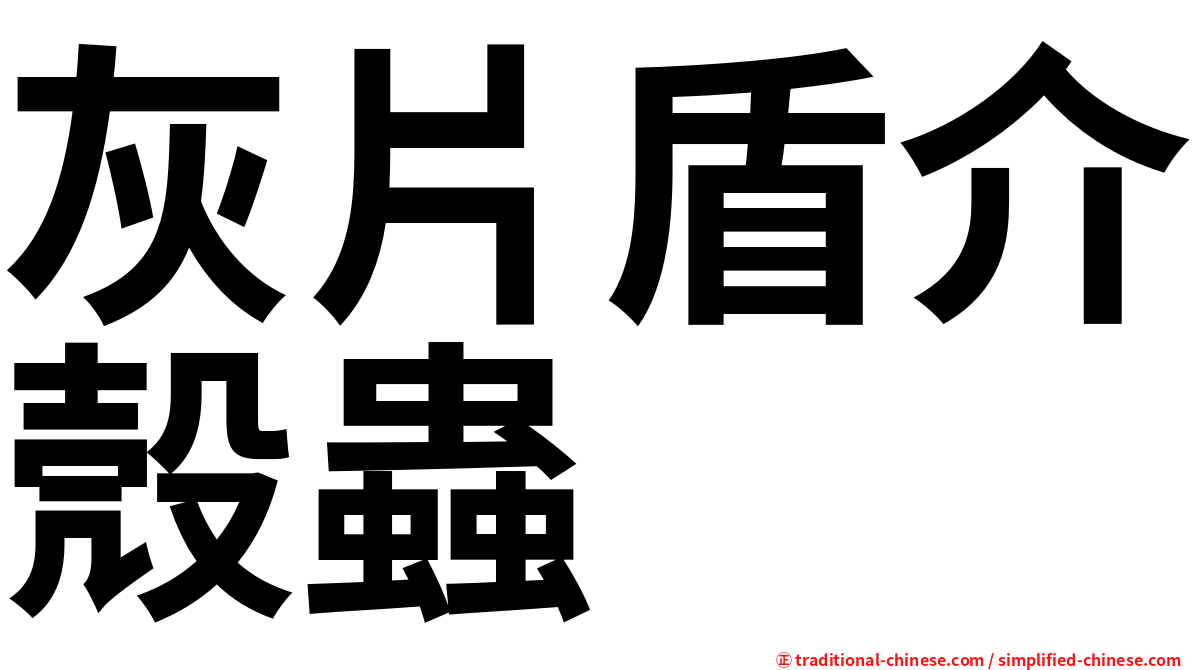 灰片盾介殼蟲