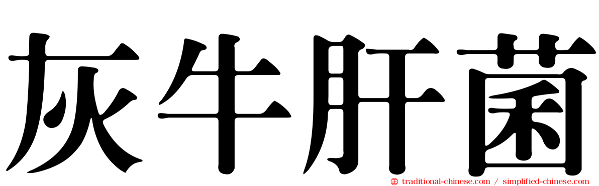 灰牛肝菌