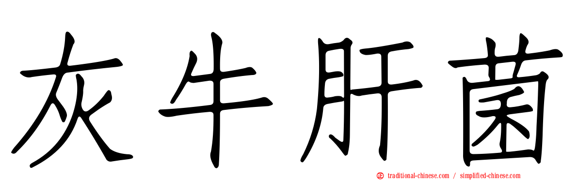 灰牛肝菌
