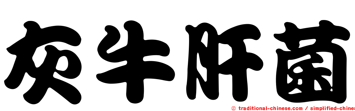 灰牛肝菌