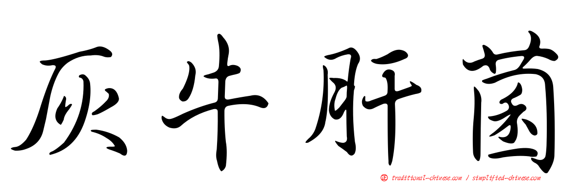 灰牛肝菌
