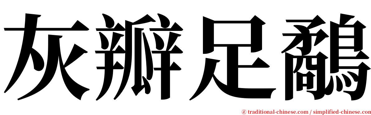 灰瓣足鷸 serif font
