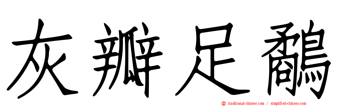 灰瓣足鷸