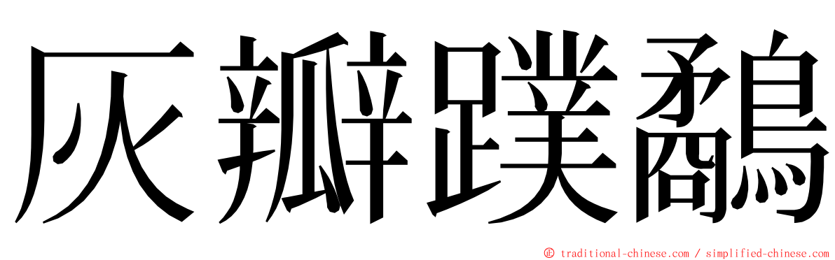 灰瓣蹼鷸 ming font