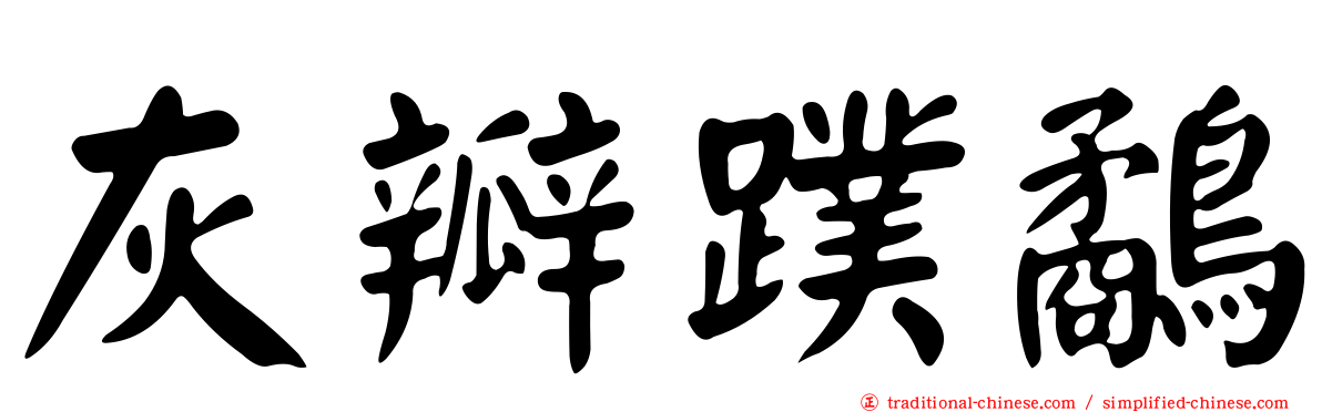 灰瓣蹼鷸