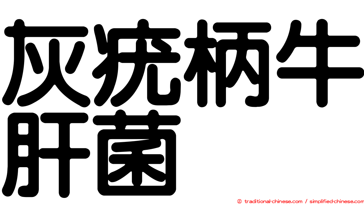 灰疣柄牛肝菌