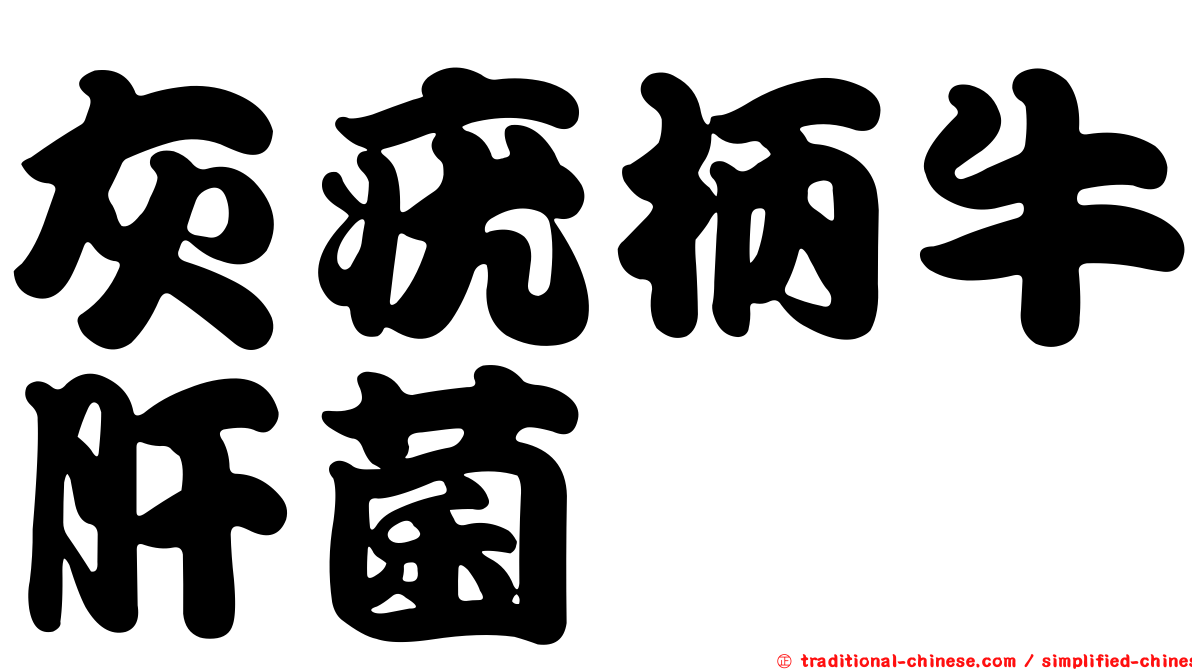 灰疣柄牛肝菌