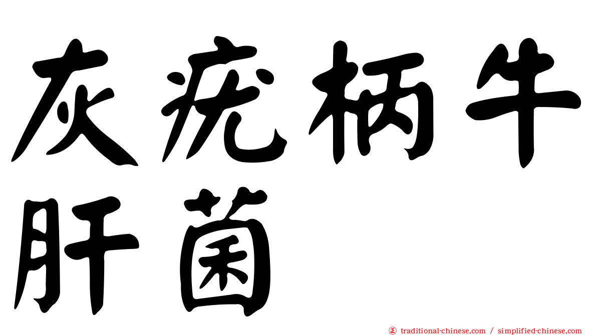 灰疣柄牛肝菌