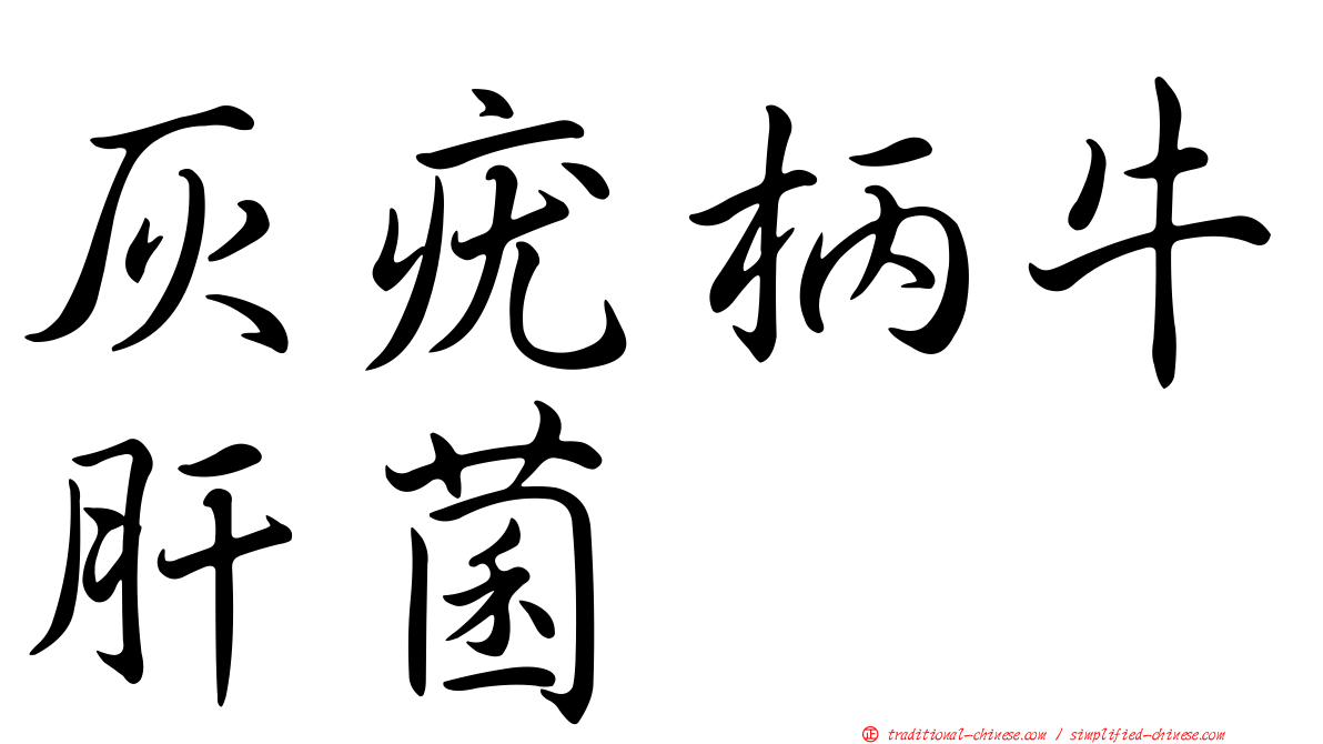 灰疣柄牛肝菌