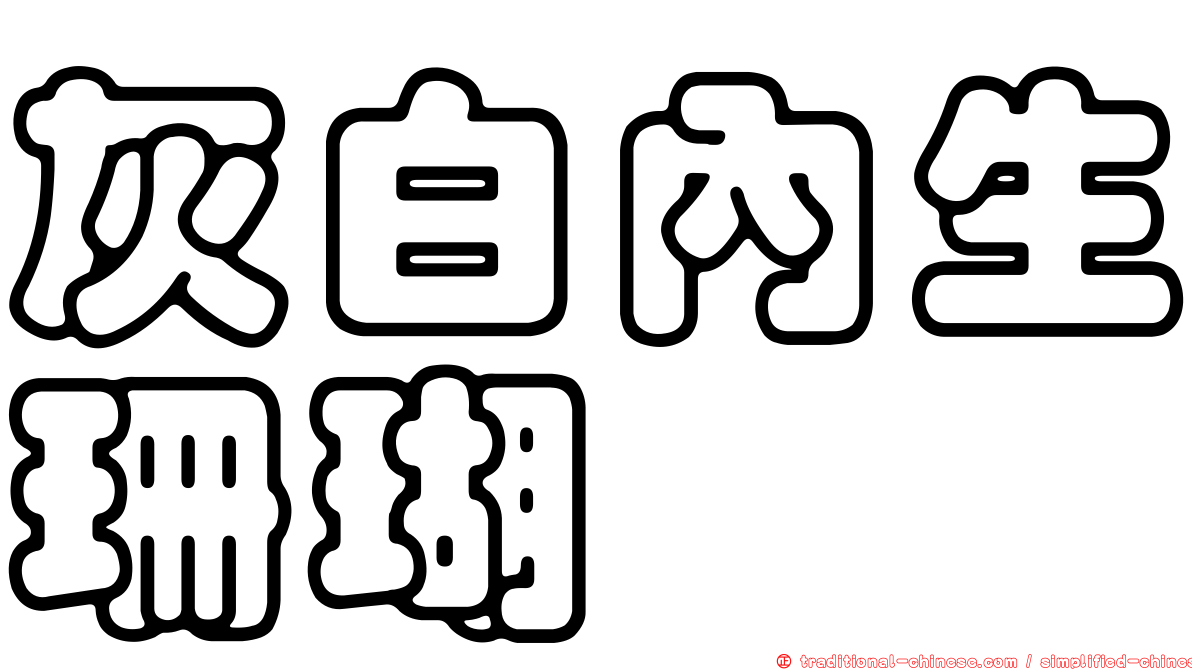 灰白內生珊瑚