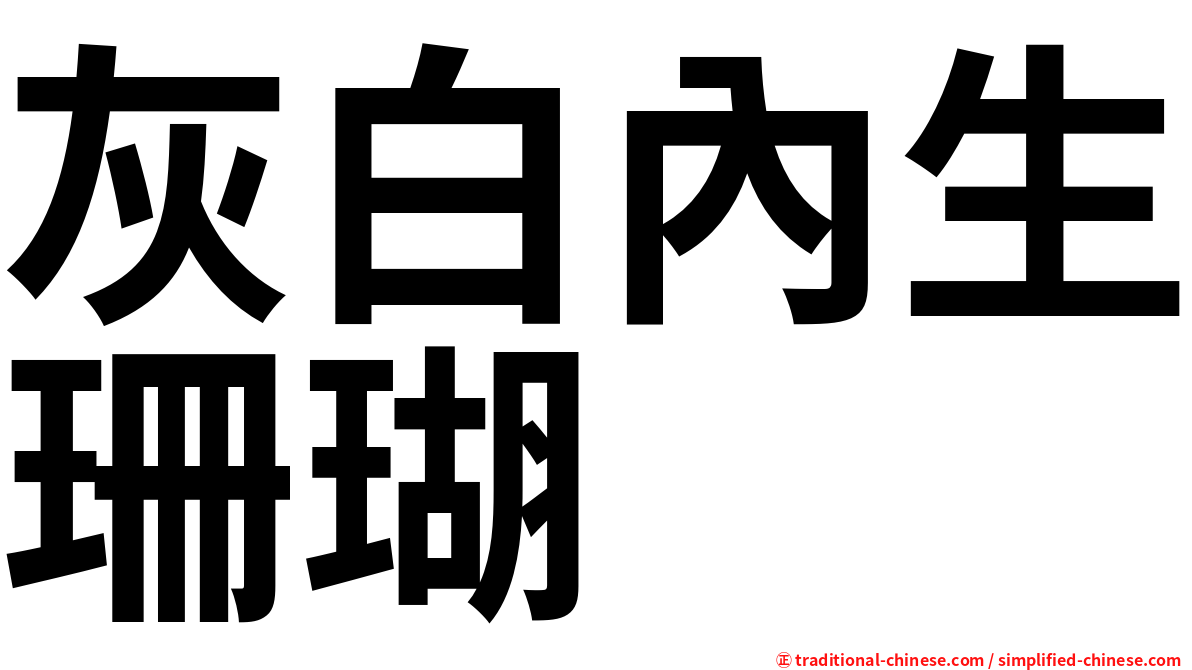 灰白內生珊瑚