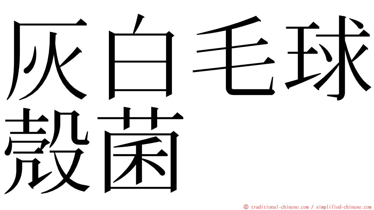 灰白毛球殼菌 ming font