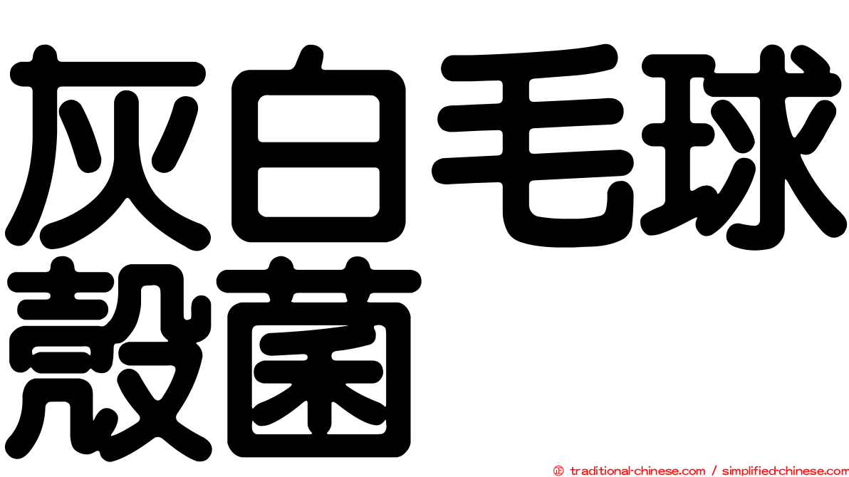 灰白毛球殼菌