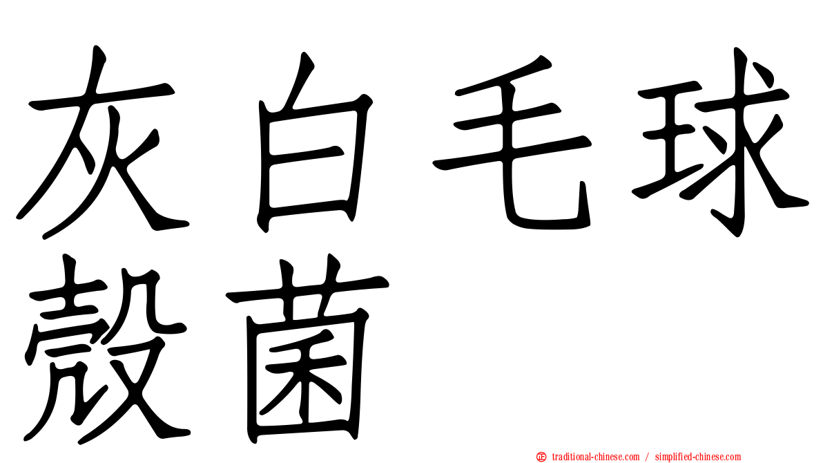 灰白毛球殼菌