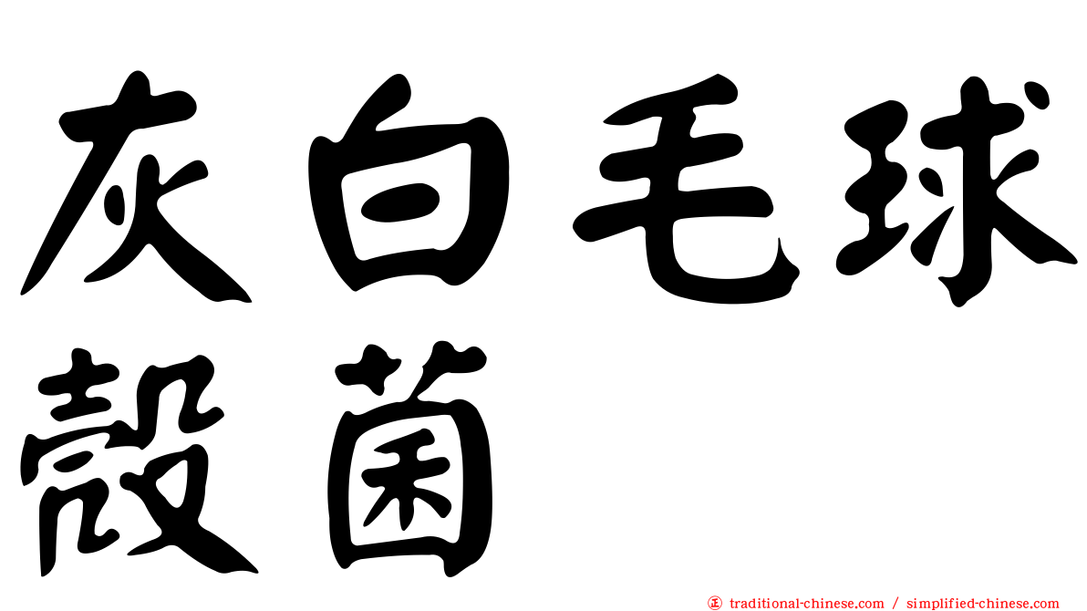 灰白毛球殼菌