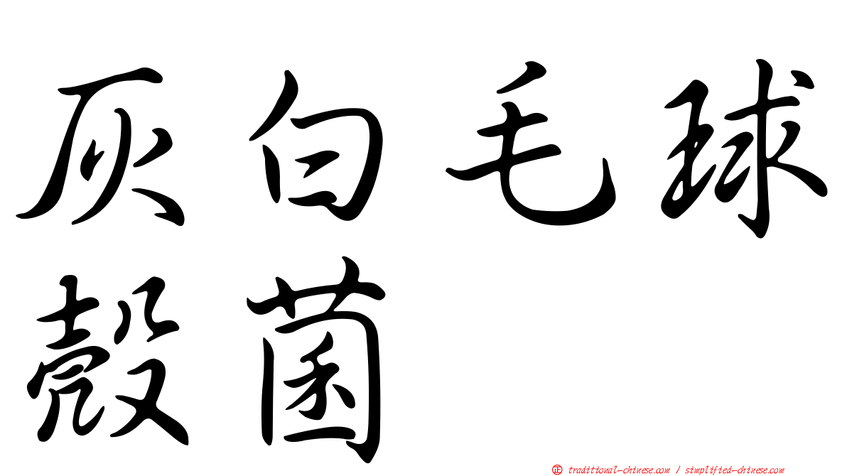 灰白毛球殼菌
