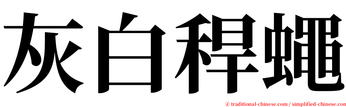 灰白稈蠅 serif font