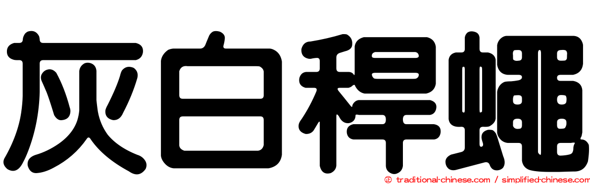 灰白稈蠅