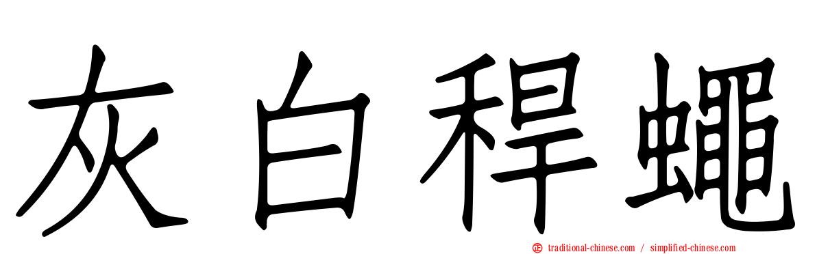 灰白稈蠅