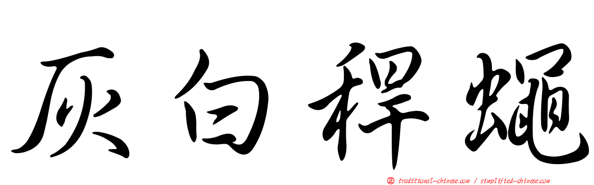 灰白稈蠅