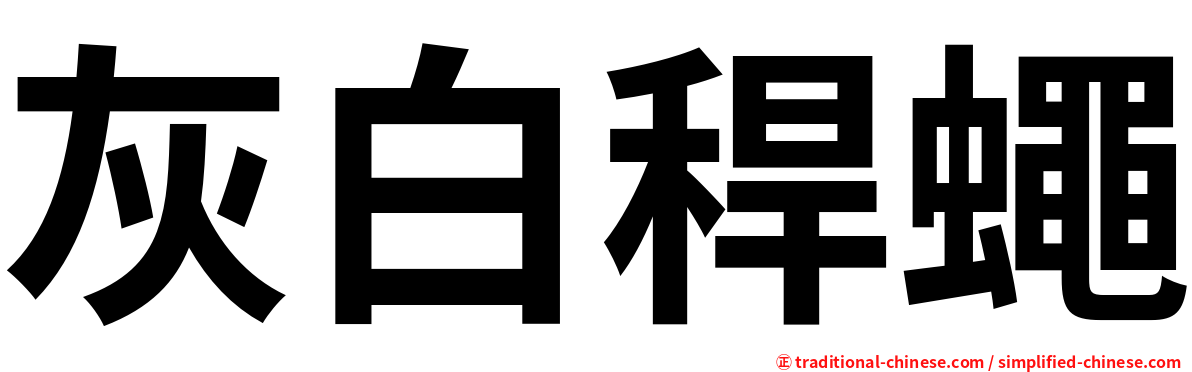 灰白稈蠅