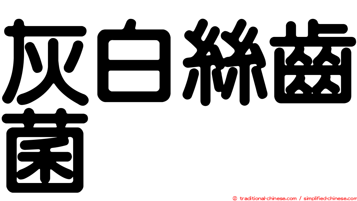 灰白絲齒菌