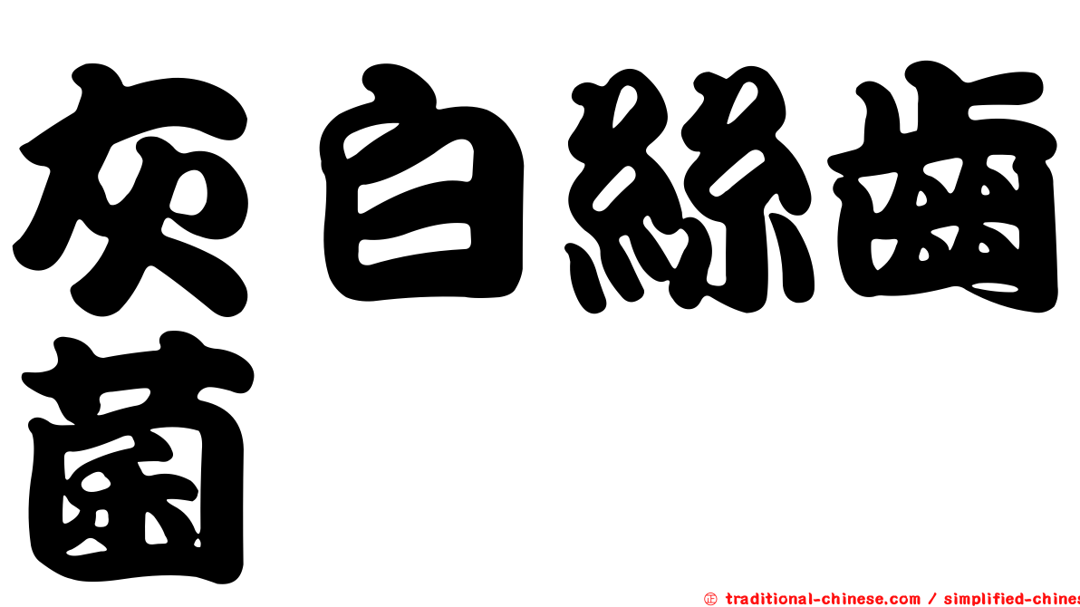 灰白絲齒菌