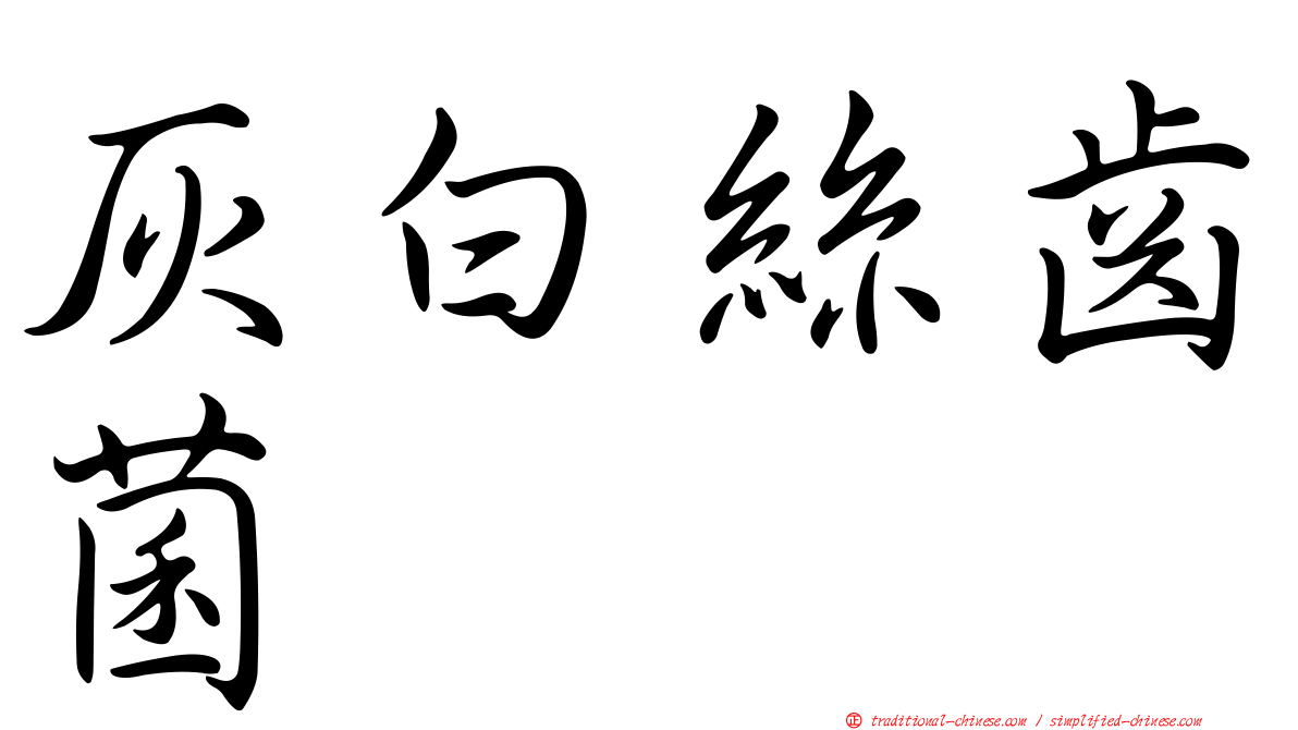 灰白絲齒菌