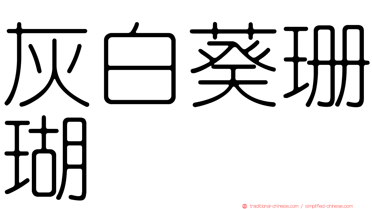 灰白葵珊瑚
