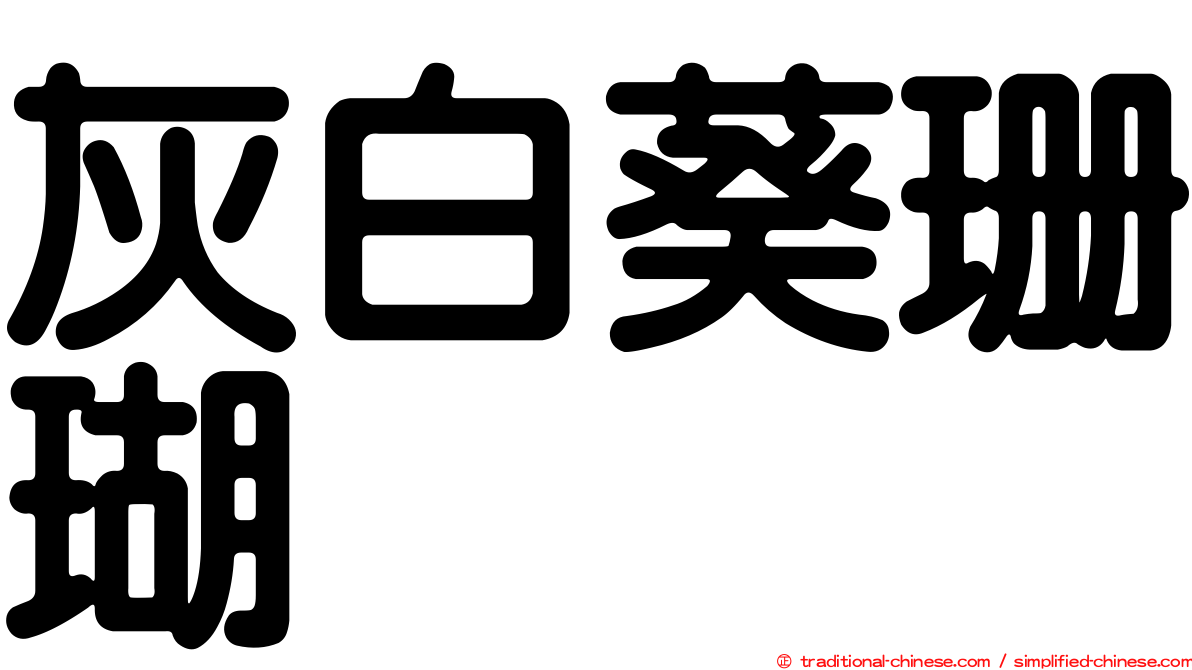 灰白葵珊瑚