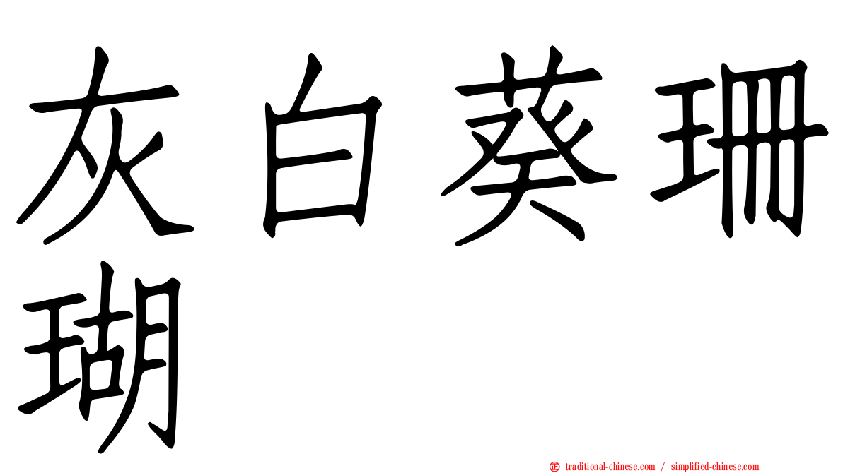 灰白葵珊瑚