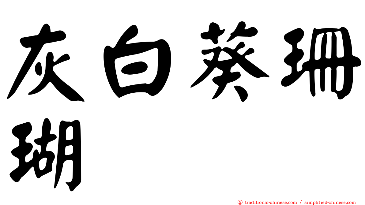 灰白葵珊瑚