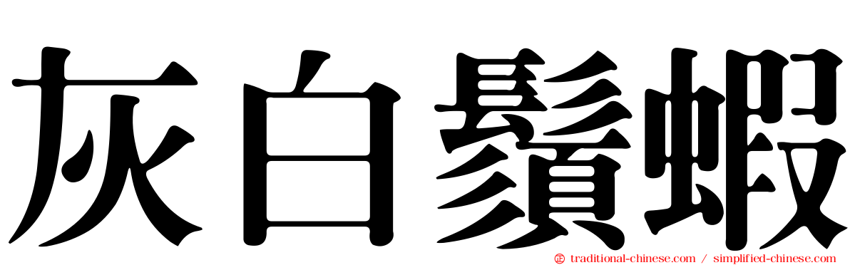 灰白鬚蝦