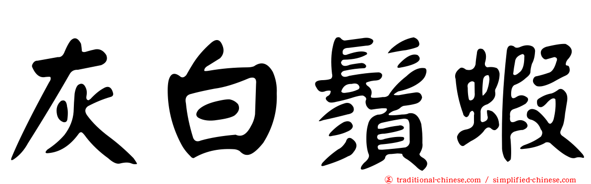 灰白鬚蝦