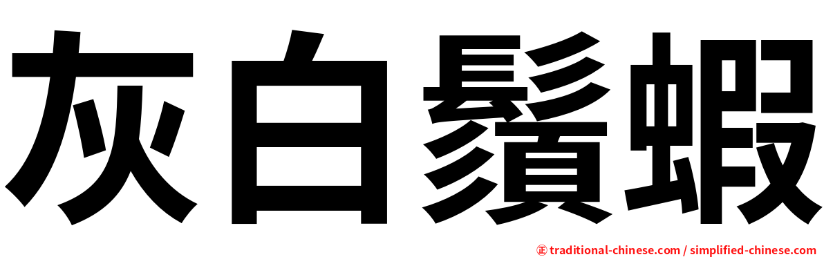 灰白鬚蝦