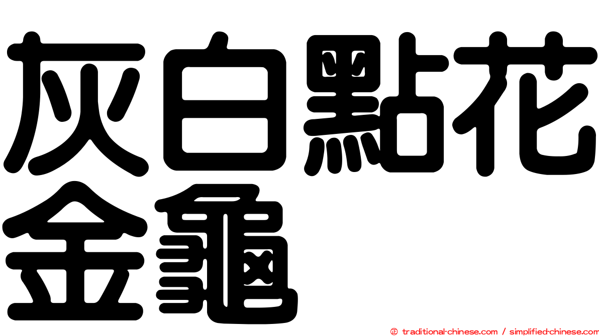 灰白點花金龜