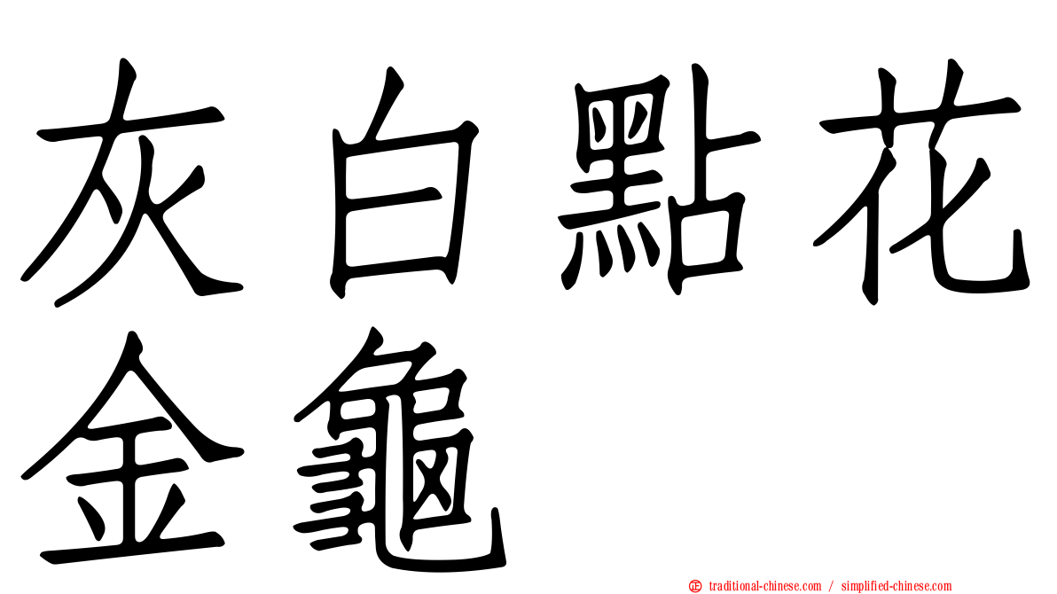 灰白點花金龜