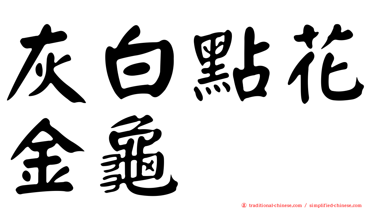 灰白點花金龜