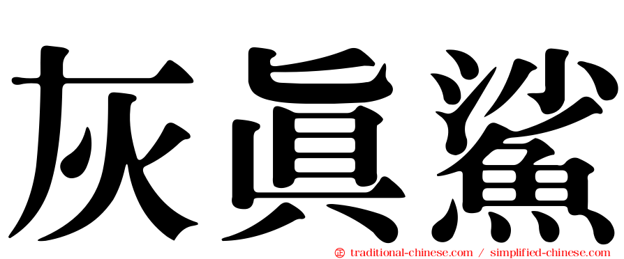 灰真鯊