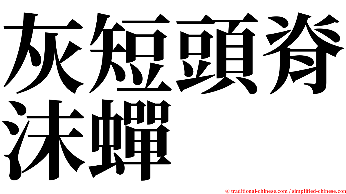 灰短頭脊沫蟬 serif font