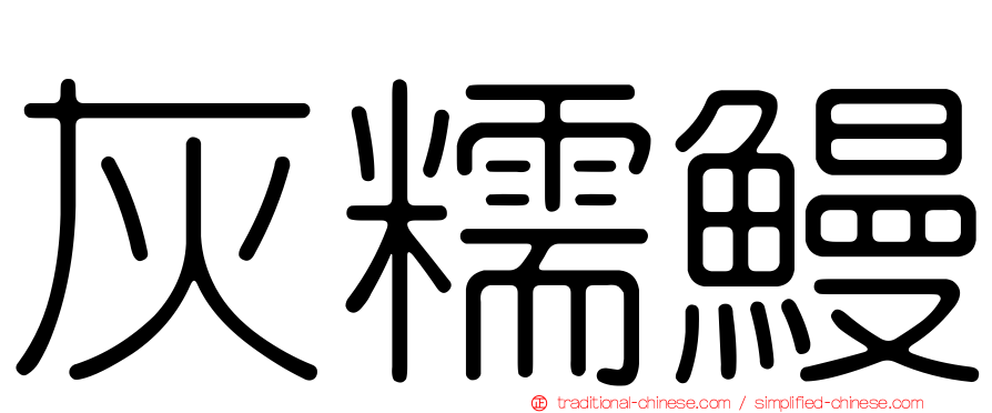 灰糯鰻