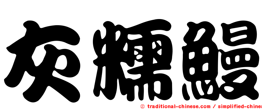 灰糯鰻