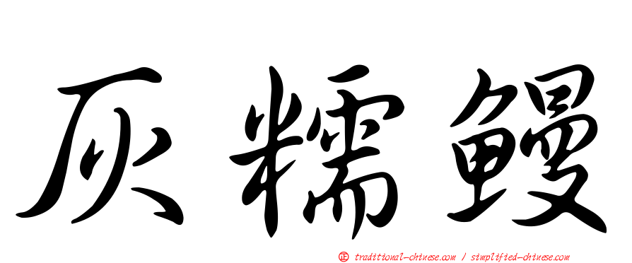 灰糯鰻