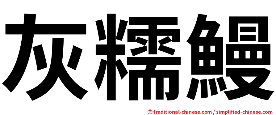 灰糯鰻