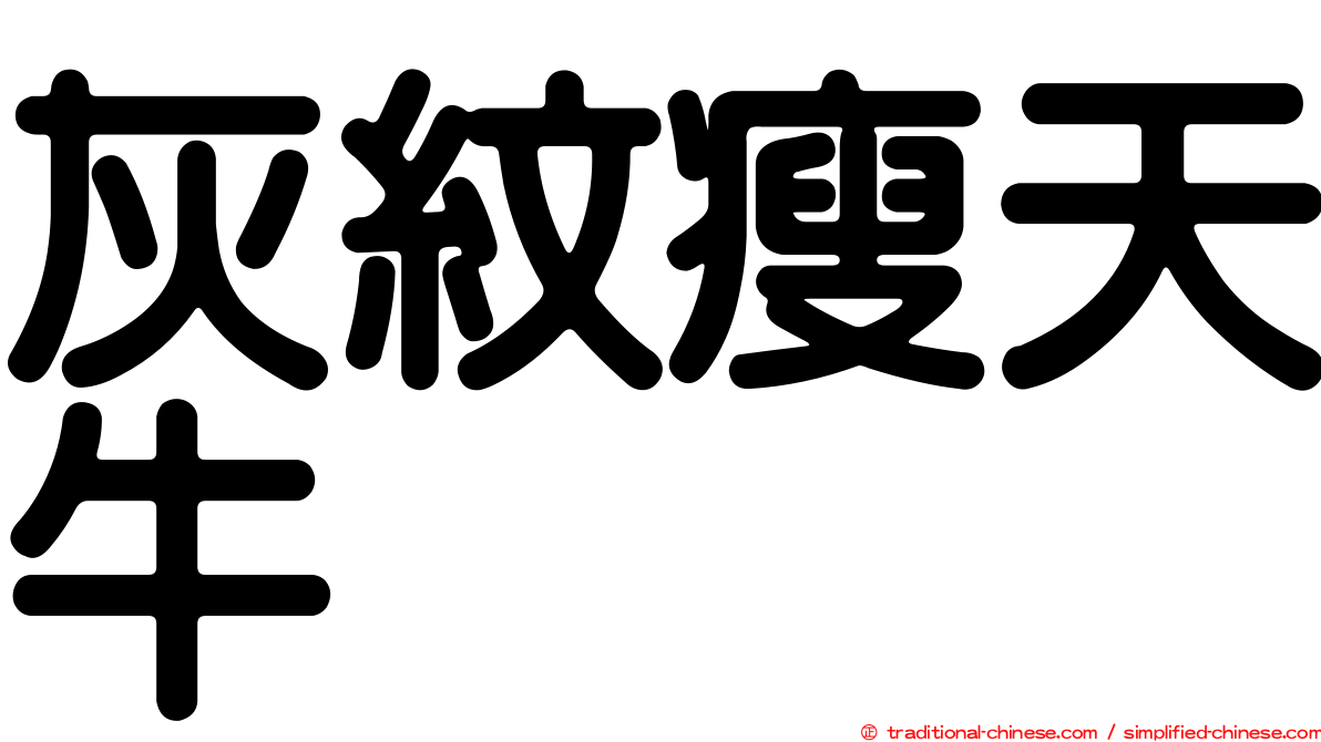 灰紋瘦天牛