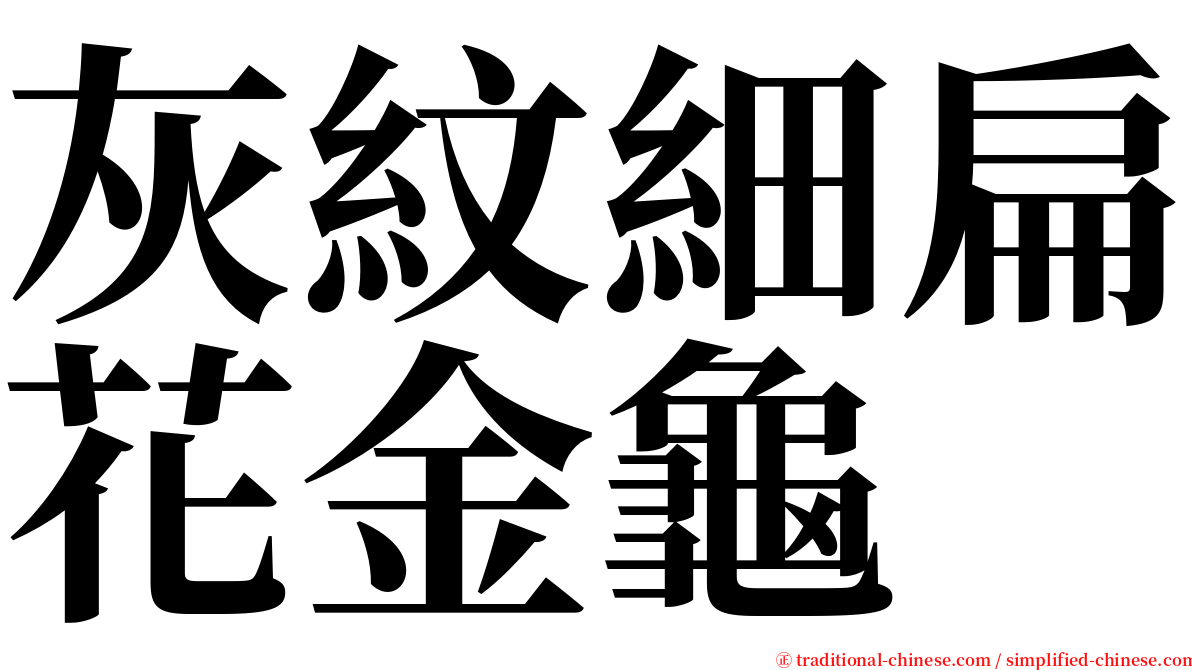 灰紋細扁花金龜 serif font